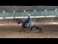 3 yo metallic cat mare in training with ron ralls