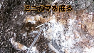 小さな両錐の水晶が出るガマ