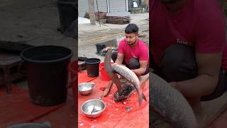 wow amazing big Rui fish cutting video #bigfishcutting #fishcuttingskills #shorts