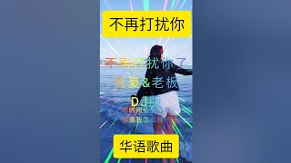 不再打扰你了~歌词~DJ版 美歌甜醉人心,大家千万别错过