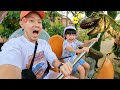 NAIK SEPEDA TERBANG KETEMU DINOSAURUS ? TAMAN BERMAIN ANAK THEME PARK