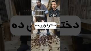 محل پرورش تولید سوسک باید از آدم ها شهر دور باشد هرچند بایستی در فضای کاملا بهداشتی تولید شوند #شورت