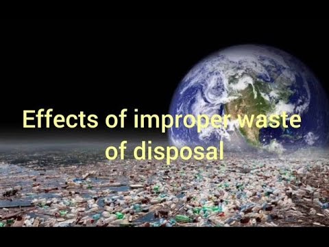 Effects Of Improper Waste Disposal - YouTube