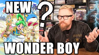 WONDER BOY ASHA IN MONSTER WORLD? - Happy Console Gamer