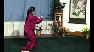 73 Form Sun Style Taiji Quan