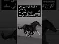 أمشي معي 🐎🌺