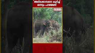 അരിക്കൊമ്പന്‍ വിഷയം; ഹര്‍ജിയില്‍ 25000 പിഴയിട്ട് സുപ്രീംകോടതി  | Arikomban