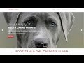 Design Header With Slider Using Bootstrap 5 And Owl Carousel