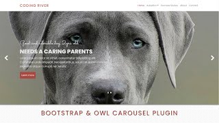 Design Header With Slider Using Bootstrap 5 And Owl Carousel