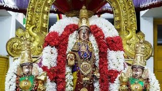 Rajagopalaswamy Temple ராஜகோபாலர் (உற்சவர் ) Palayamkottai