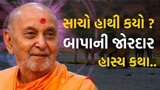 સાચો હાથી કયો ? | Pramukhswamimaharaj | Pramukh pravachan