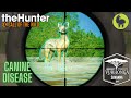 Canine Disease, Vurhonga Savanna | theHunter: Call of the Wild (PS5 4K)