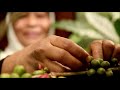 BUKIDNON INDIGENOUS PEOPLES COFFEE FARMERS PHILIPPINES | HINELEBAN FOUNDATION