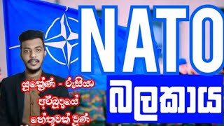 NATO  |ලෝකෙම කතාවෙන නේටෝ සංවිධානය