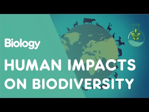 How would the loss of biodiversity affect humans quizlet?
