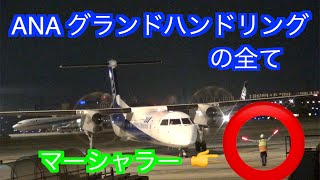 【マーシャラー】ANAグランドハンドリングを見てみた！ ANAウイングス DHC8-Q400 @伊丹空港 スーパードルフィンも横切るよ！