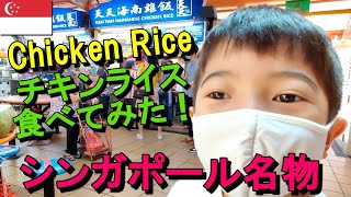 【シンガポール食事】チキンライスの有名店に行ってみたよ！　　　📺Cool8TV🌴