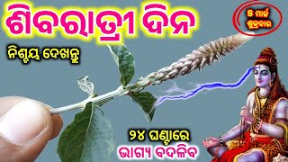 8 March ମହା ଶିବରାତ୍ରୀ ଦିନ ଘରକୁ ନେଇ ଆସନ୍ତୁ ଏହି ଗଛର ଚେର | Maha Shivratri Upaya 2024