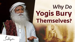 Why Do Yogis Bury Themselves    Sadhguru - Soul Of Life - Made By God