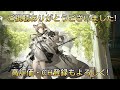 空想の花庭　he 1 完全低レア攻略【アークナイツ arknights 明日箱舟】