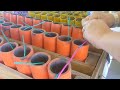 Fusing Consumer Fireworks Artillery Shells