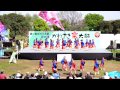 踊りゃん祭　in　かわさき楽大師「厄除よさこい」　2015