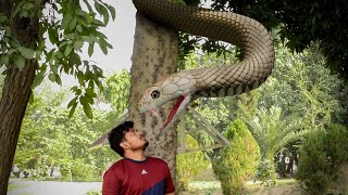 Anaconda Snake in Real Life Part 1 | Huzi Films