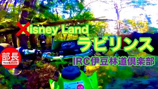 イズニーランドのラビリンス×IRC伊豆林道倶楽部 2023-10-29【モトブログ】