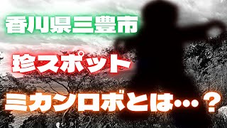 香川県三豊市の珍スポット『ミカンロボ』とは...？ #Shorts