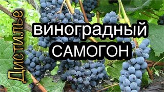 Виноградный самогон