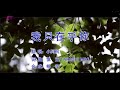 我只在乎你-小阿枫-伴奏 KARAOKE