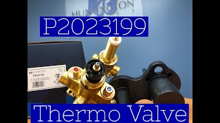 P2023199 Thermostatic Valve