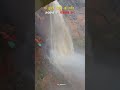 tutla bhawani waterfall का विकराल रूप bihartourism shortsviral shorts