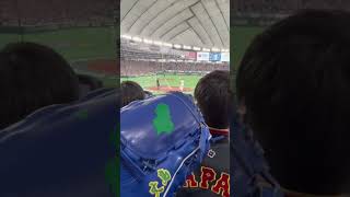 ついに大谷翔平と八丈島グローブ共演　#WBC #worldbaseballclassic #侍ジャパン　#大谷翔平