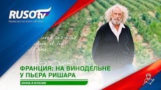 Франция: на винодельне у Пьера Ришара