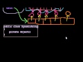 Dynamic Arrays