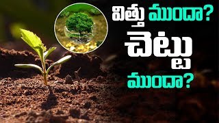 విత్తు ముందా ?  చెట్టు ముందా|Unknown Facts Of The World|Facts Of Astrology|Vittu Munda Chettu Munda