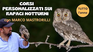 CORSI PERSONALIZZATI SUI RAPACI NOTTURNI CON MARCO MASTRORILLI