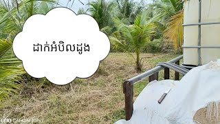 ដាក់អំបិលដូង ថ្ងៃ១ ខែ១២ ឆ្នាំ ២០២៣