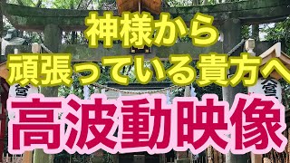 大宮天満宮の神様の御神気を映像で皆様へ《大宮八幡宮》