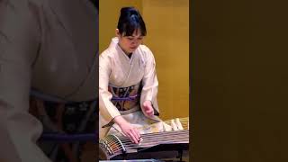 japanese traditional music instrument - Koto