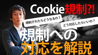 【プロが解説】Cookie規制で何ができなくなるの？対応方法までお伝えします！