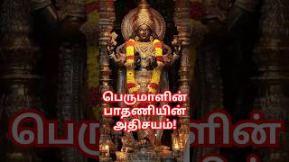 பெருமாளின் திருவடி: பாதணியின் மறுபொருள்! #facts #tamil #history #ramayanam #trending