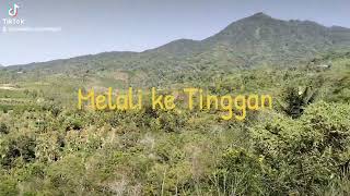 Melali ke Tinggan