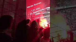 Werder Bremen - 1.FC Köln.  23.September 2023 #fcköln #1fcköln #werderbremen #fußball #sports