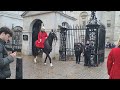 kings guard from Buckingham Palace salutes the kings guard from the house hold cavalry #london