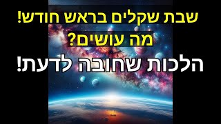 הלכות שבת שקלים וגם ראש חודש אדר. מה עושים? הלכות שחובה לדעת!