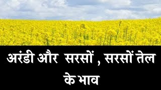 अरंडी और  सरसों , सरसों तेल के भाव