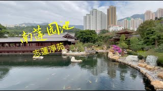 【香港好去處】南莲园池+志蓮淨苑+志蓮素齋【 Hong Kong travel】 Nan Lian Garden+  Chi Lin Nunnery 4K iphone 12 Pro Max 航拍