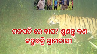 ଗଜପତି ରେ ବାଘ? # କଣ କହୁଛନ୍ତି ଗ୍ରାମବାସୀ?  Tiger in Gajapati District